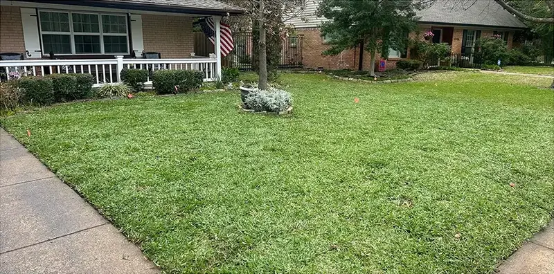 The same front yard with new sod laid