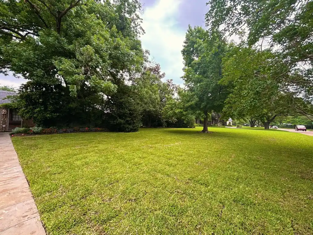 A wide front lawn laid by Grass DFW, fully rooted under mature trees