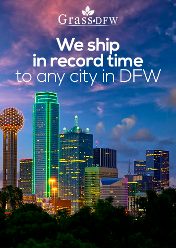 Grass DFW We sell grass