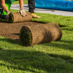 Installation Services