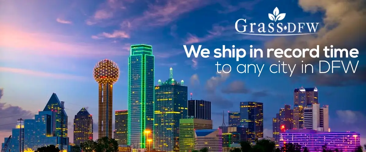 Professional Sod Installation in Dallas and Frisco TX