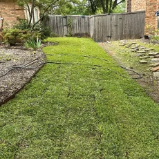 grass-dfw-002