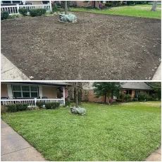 grass-dfw-004
