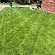grass-dfw-005