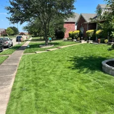 grass-dfw-03